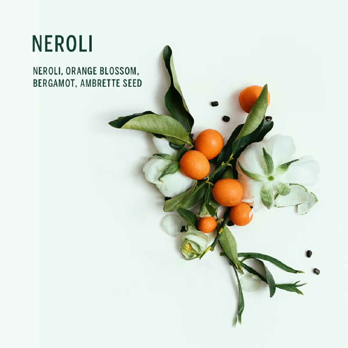 CORPUS BODY REFRESHER NEROL